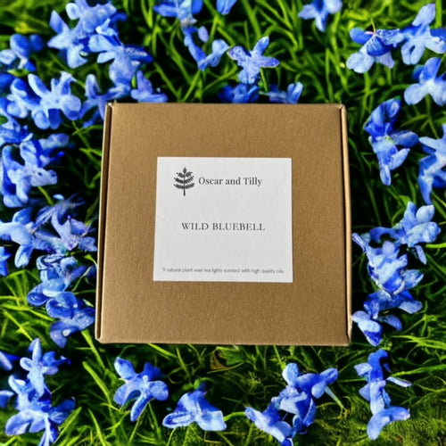 Wild Bluebell Fragranced Tea Lights ~ Box of 9