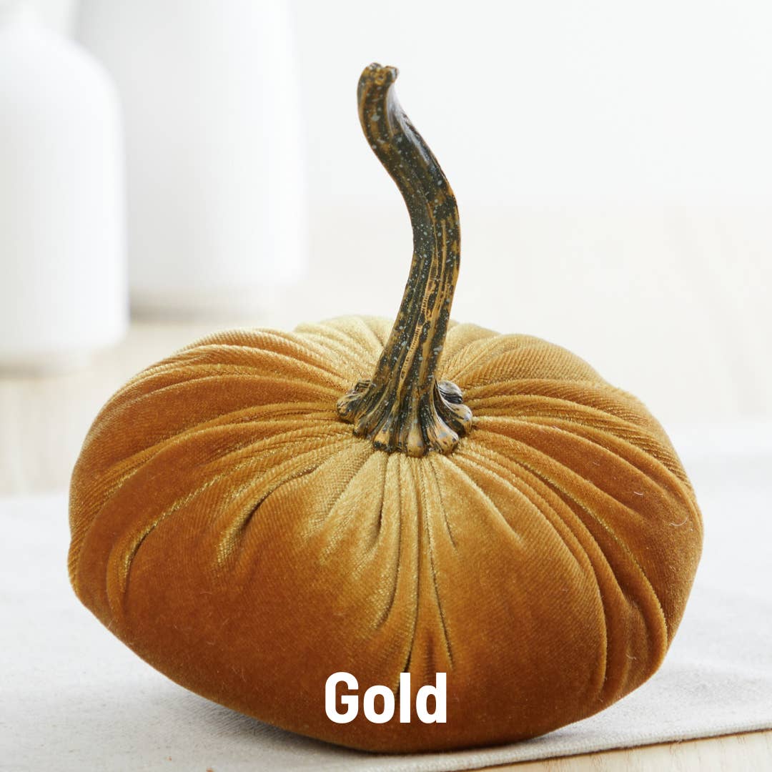 Small Velvet Pumpkins in 7 colourways