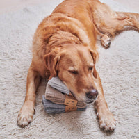 Dog Walking socks - Black Labrador