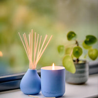 Amalfi Lemon Diffuser -Osmology/Aery