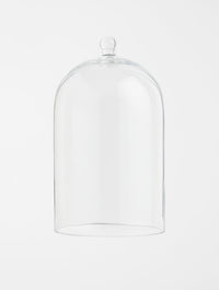 Clear Glass Cloche Dome