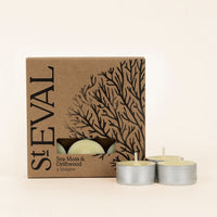 Sea Moss & Driftwood, Scented Tealights