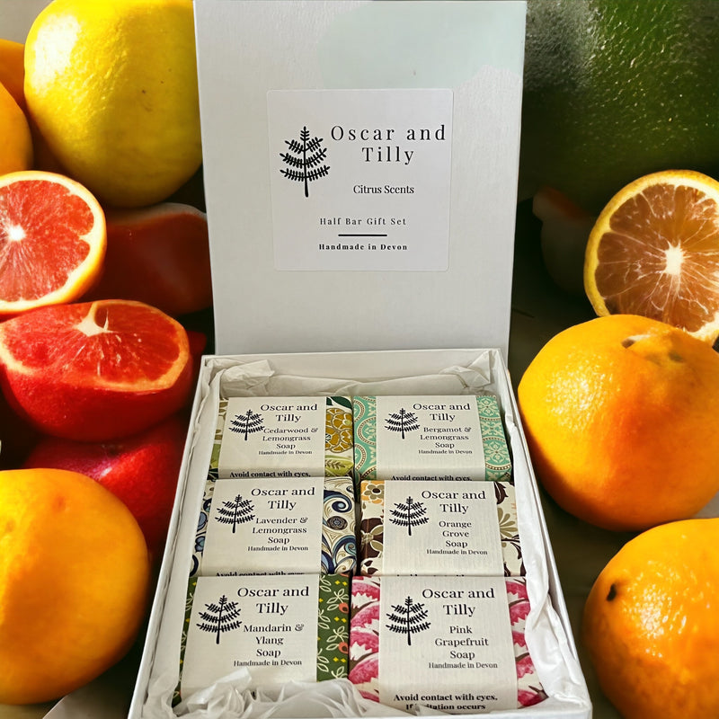 Half Bar Soap Gift Set ~ of 6 mixed fragrances