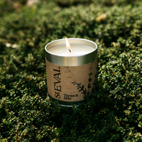 Thyme & Mint Scented Tin Candle