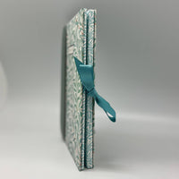 Two books bound together with a teal ribbon on a gray background
