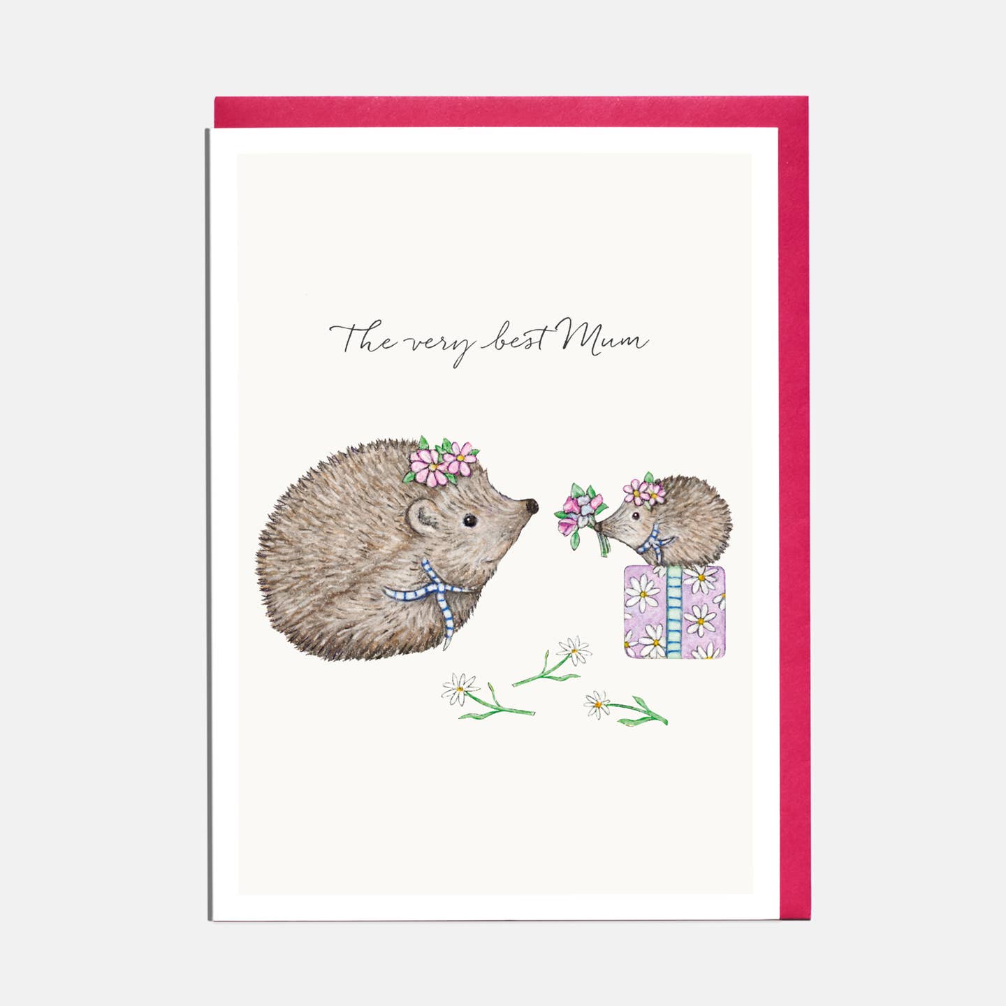 Hedgehog Mother's Day Card - 'The Very Best Mum'