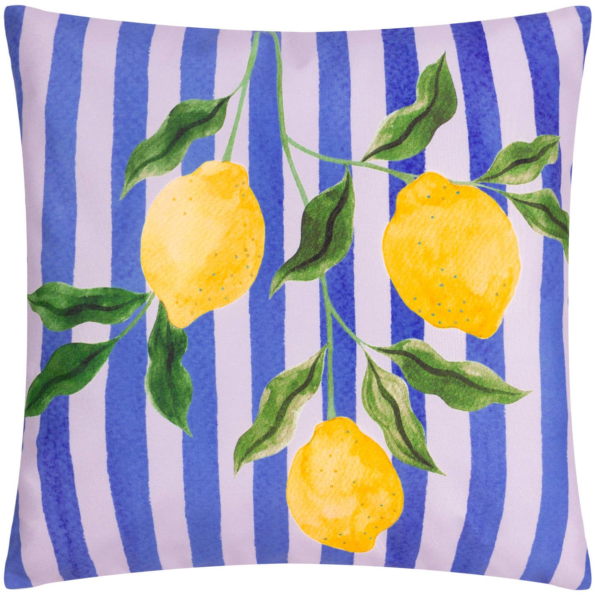 Lemons Outdoor Cushion Blue (with inners)