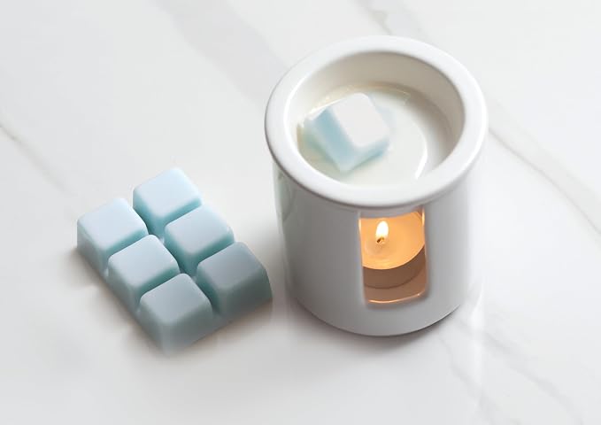 Ceramic Wax Melter