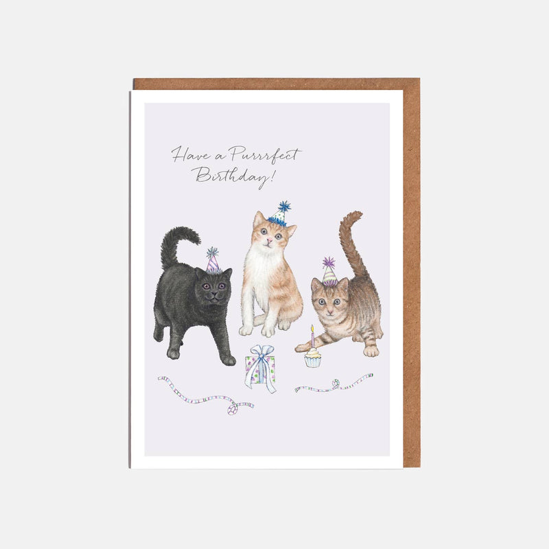 Cats & Present Birthday Card - 'Have a Purrfect Birthday'