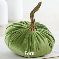 Small Velvet Pumpkins in 7 colourways