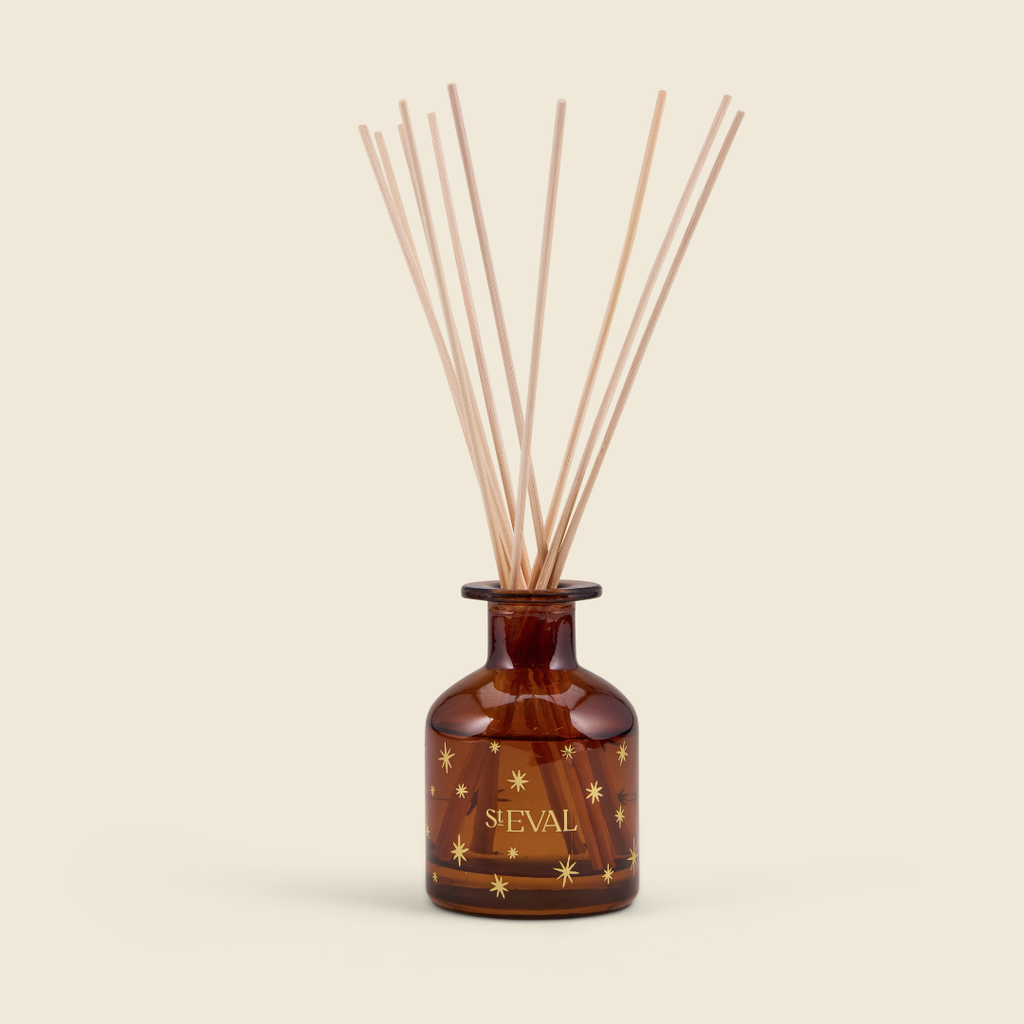 Winter Thyme - Christmas Mini Diffuser