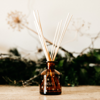 Winter Thyme - Christmas Mini Diffuser