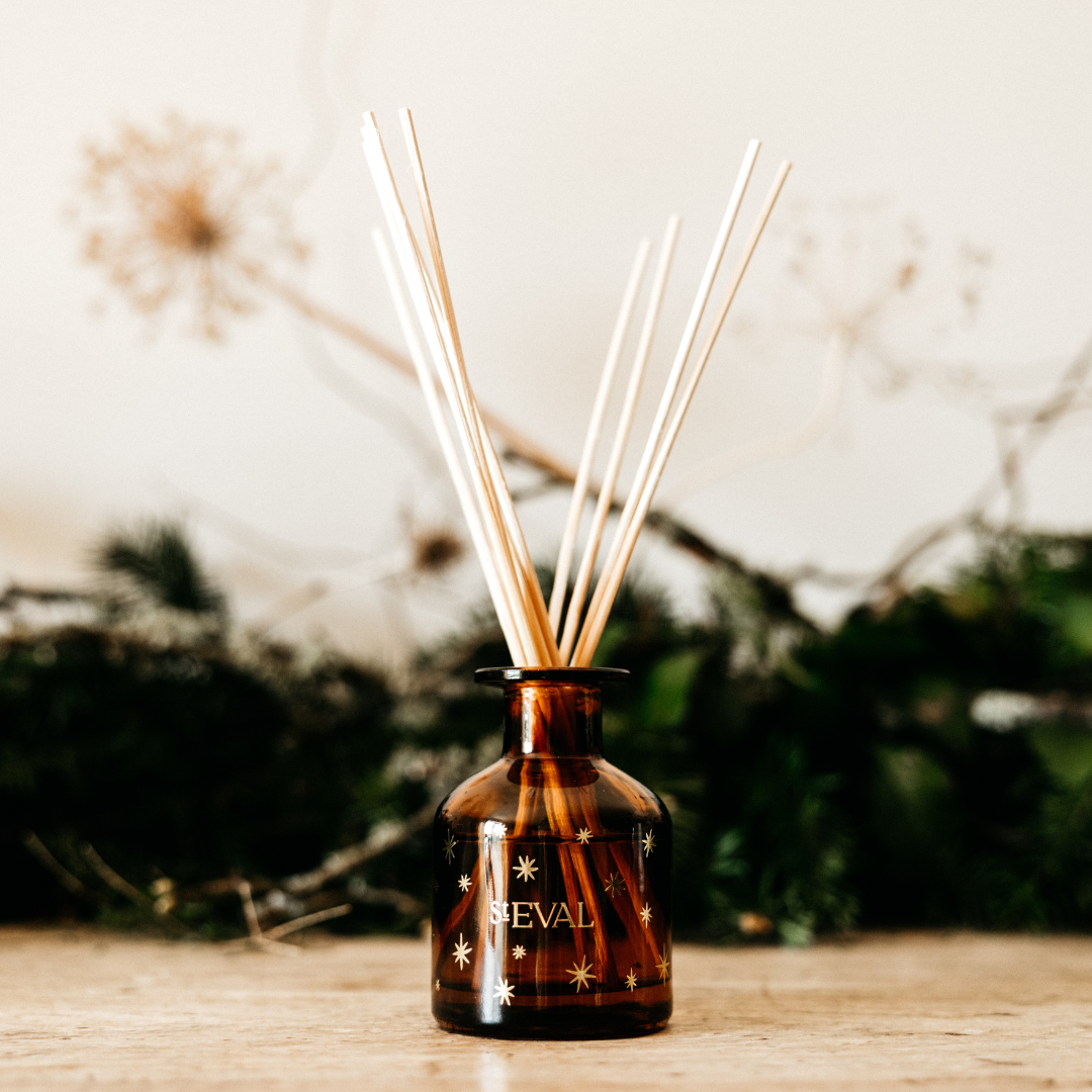 Winter Thyme - Christmas Mini Diffuser