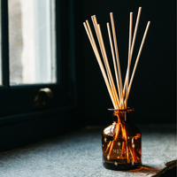 Inspiritus - Christmas Mini Diffuser