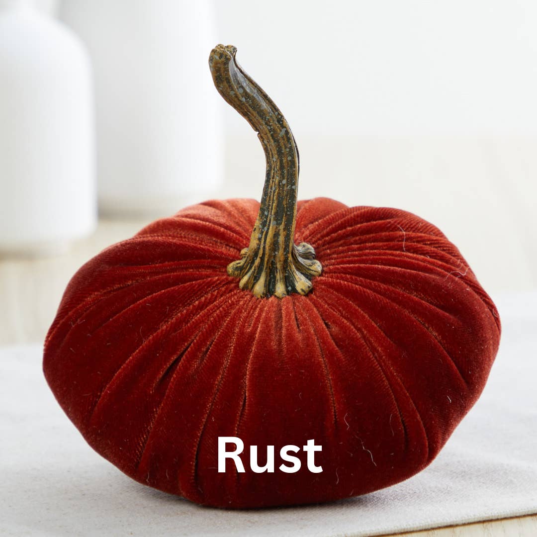 Small Velvet Pumpkins in 7 colourways