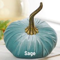 Large Handmade Velvet Pumpkins ~ 11 various colourways
