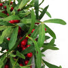 Christmas Mistletoe Red Berry Floristry Wreath