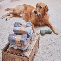 Dog Walking Socks - Dachshund