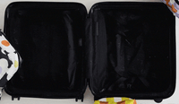 Multi Flower Check Set Of 3 Packing Cubes