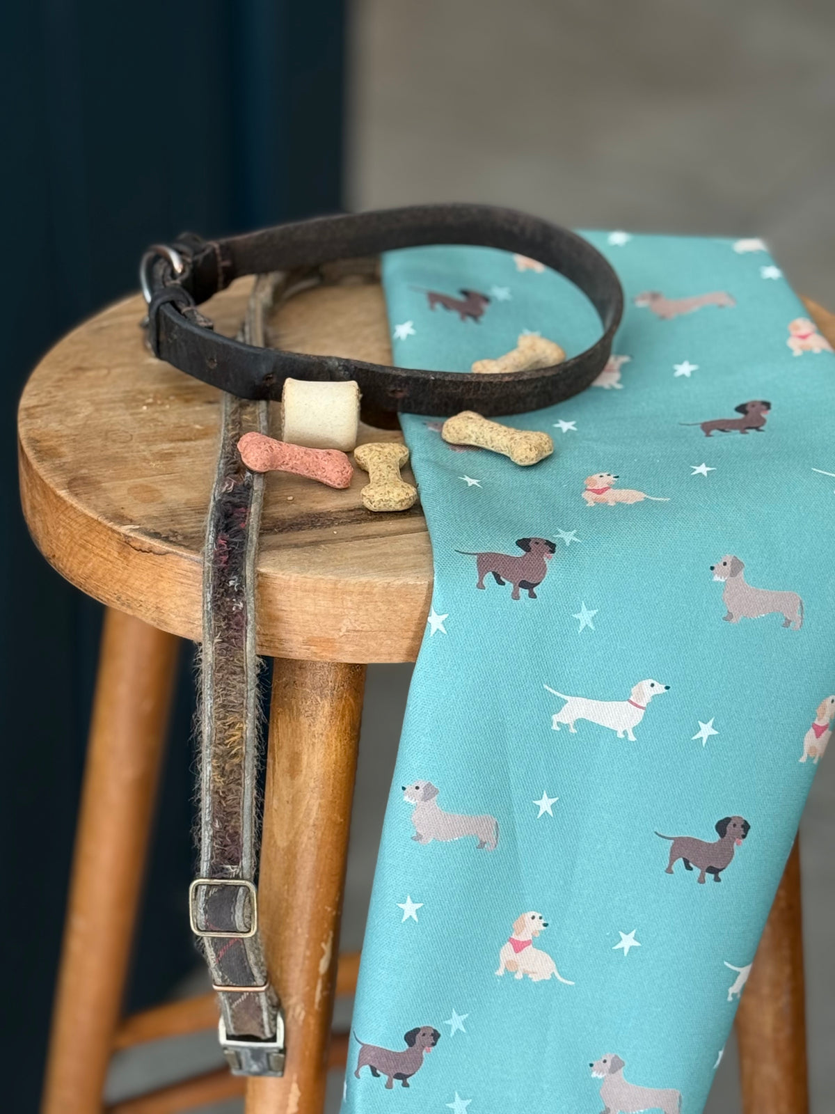 Dachshund Tea Towel