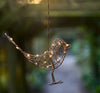Hanging Robin Light