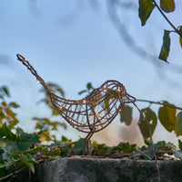 Hanging Robin Light