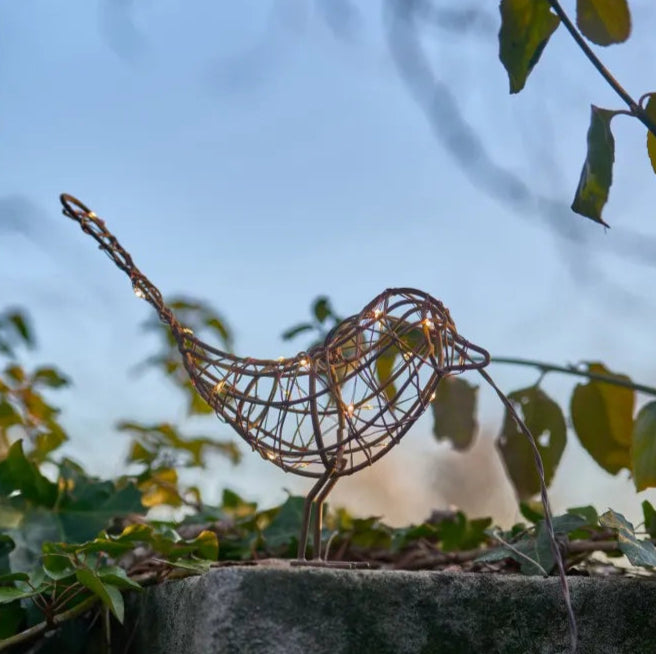 Hanging Robin Light