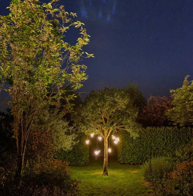Hanging Robin Light