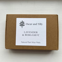 Natural Wax Melts ~ in 4 uplifting blends