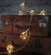 Galaxy Lightbulbs