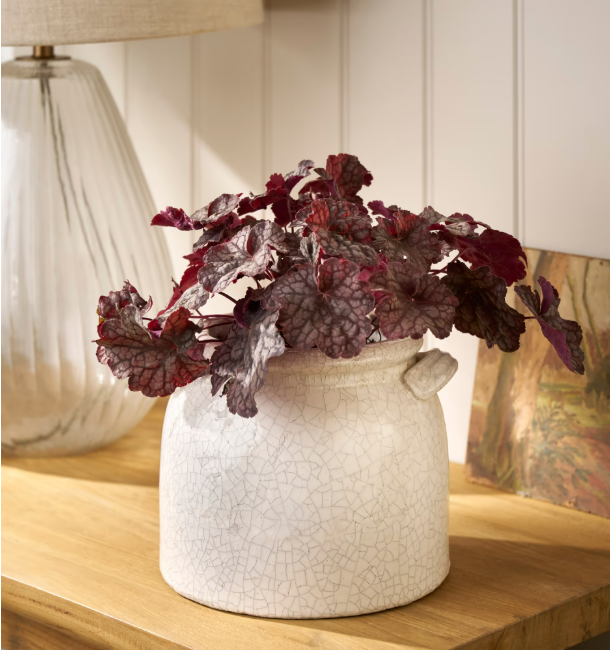 White Ravello Pot with Handles