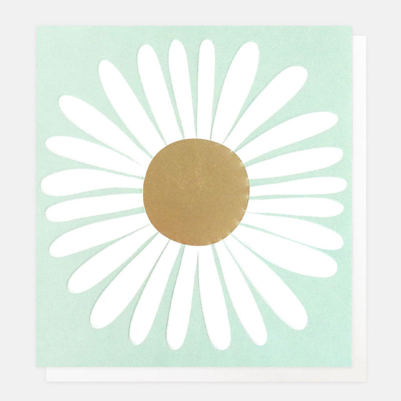 White Daisy – Blank Greeting Card