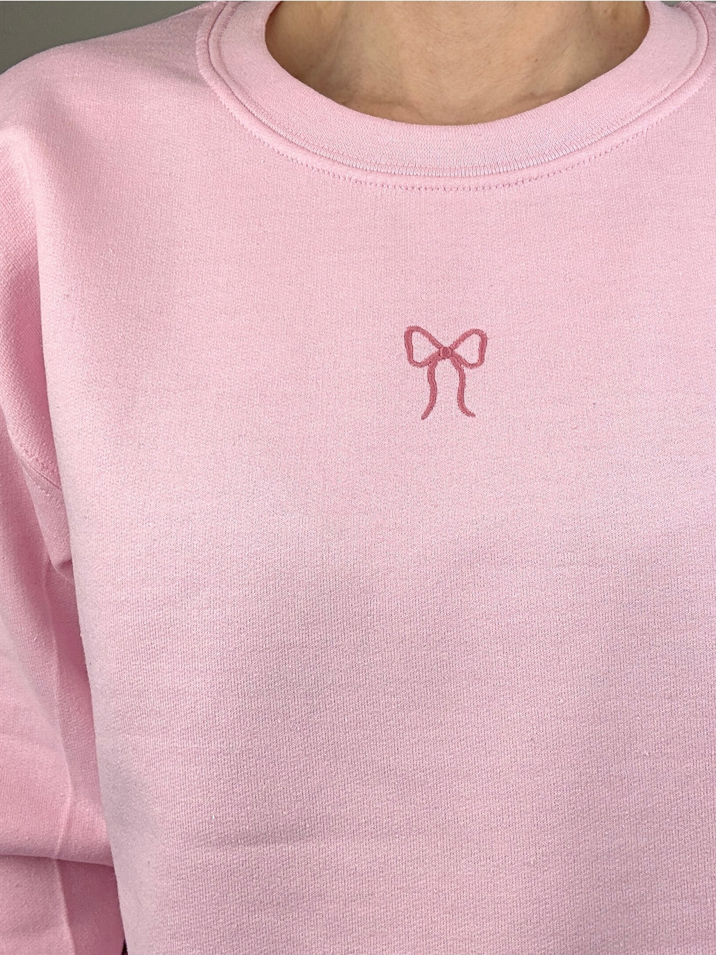 Embroidered Miniature Bow Motif Sweatshirt