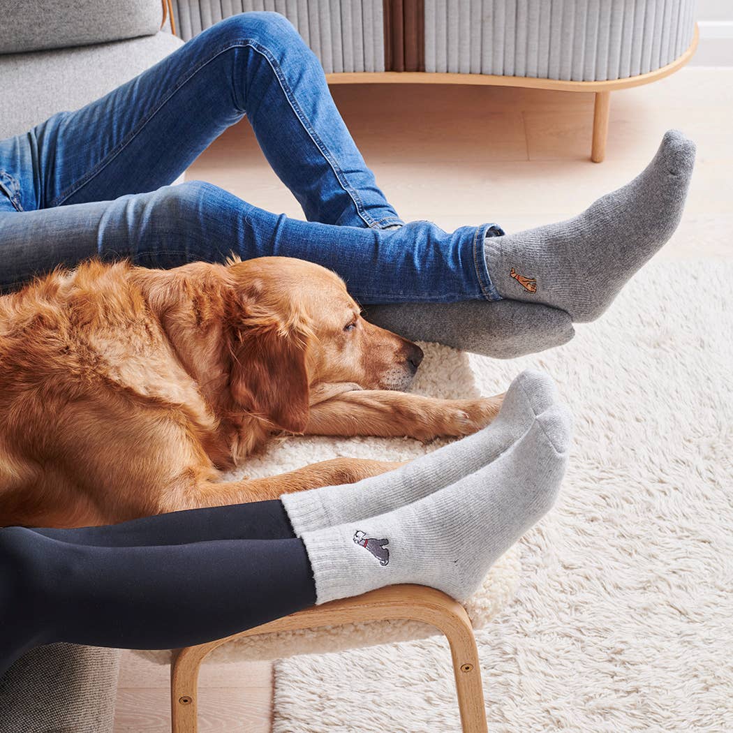 Dog Walking socks -  Staffie