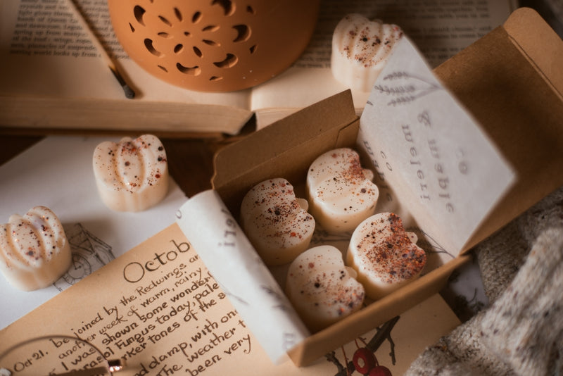 Caramel Pumpkin Patch ~ Autumn Soy Wax Melts