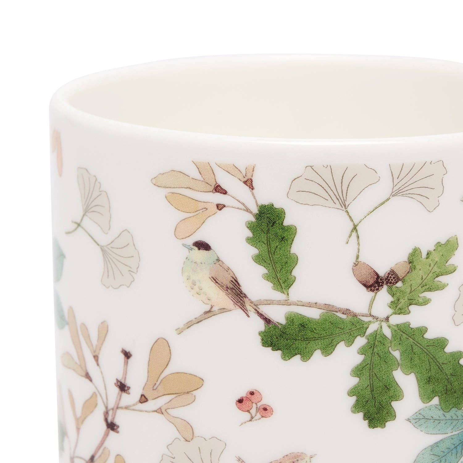 Orchard Birds Mug: Large Mug