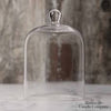 Clear Glass Cloche Dome