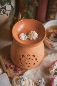 Floral Shaped Soy Wax Melts ~ Box of 15