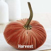 Small Velvet Pumpkins in 7 colourways