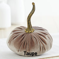 Small Velvet Pumpkins in 7 colourways