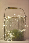 Pearl Cluster Lights