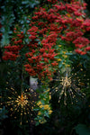 Starburst Lighting