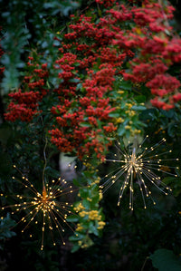 Starburst Lighting
