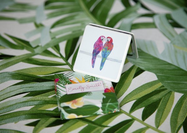 Colourful Compact Mirror - in five playful, bright designs Parrots